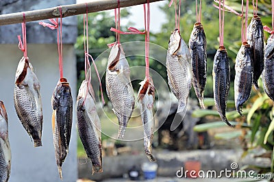 Salted fish Stock Photo