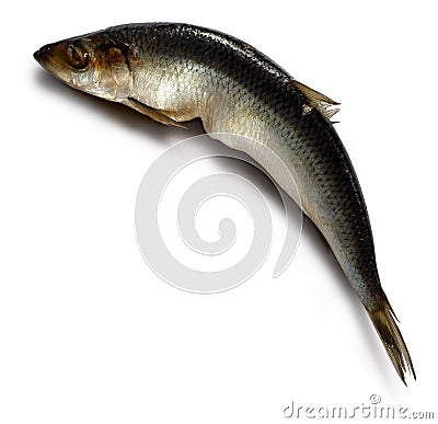 Salted herring Stock Photo