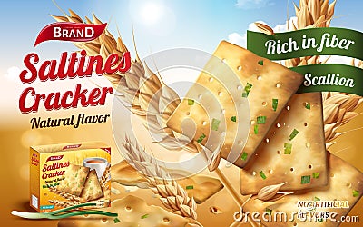 Saltines cracker ads Vector Illustration