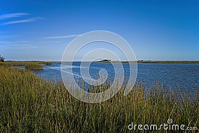 Saltmarsh along the Delaware coast in USA in late afternoon sun Stock Photo