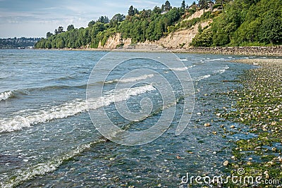 Saltwater Shoreline Stock Photo