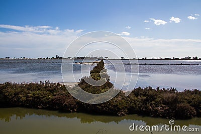 The saltworks of Quartu Stock Photo