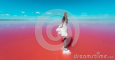 The salty shore in Ukraine, Europe. The water looks pink due to a special algae that grows in high levels of salt. Red Stock Photo