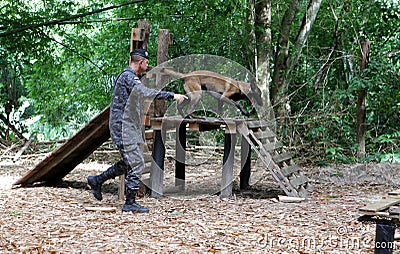 dog training for police work Editorial Stock Photo