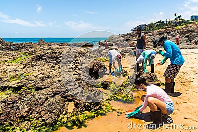 Volunteers remove black oil from the Rio Vermelho beach spilled by a ship in the Brazilian sea Editorial Stock Photo