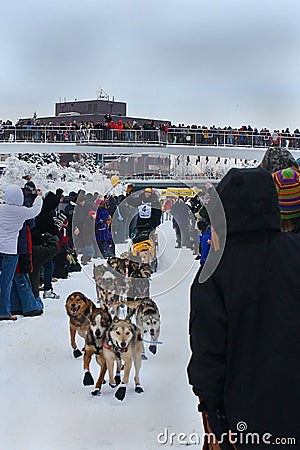 Sam Deltour begins the Yukon Quest Editorial Stock Photo