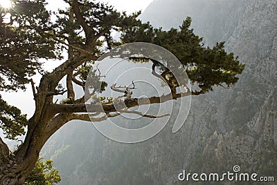 Samaria Gorge Stock Photo