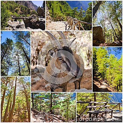 Samaria Gorge images in central Crete, Greece Stock Photo