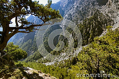 Samaria Gorge. Stock Photo