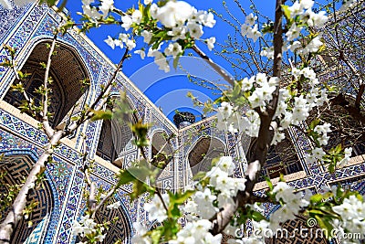 The Registan Square in Samarkand, Uzbekistan. Stock Photo