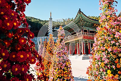 Samgwangsa Temple flower festival in Busan, Korea Editorial Stock Photo