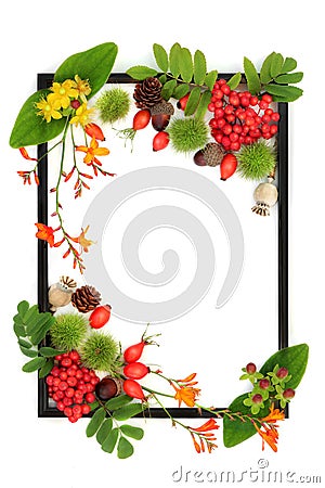 Samhain Harvest Festival Background Border Frame Stock Photo