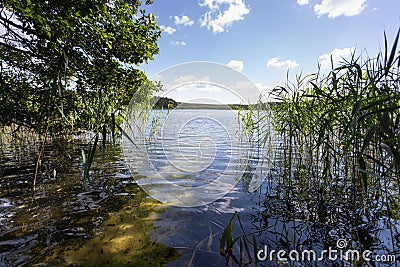 Sammer landscape with the lake and the forest Stock Photo