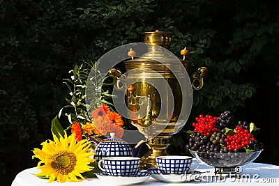 Samovar, cups of tea, red flowers with branches buckthorn, flowe Stock Photo