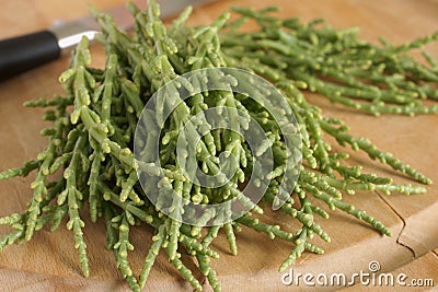 Samphire Stock Photo