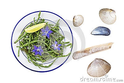 Samphire a coastal herb also known as sea beans sald of sallocornia Stock Photo