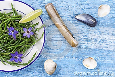 Samphire a coastal herb also known as sea beans sald of sallocornia Stock Photo