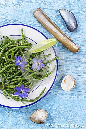 Samphire a coastal herb also known as sea beans sald of sallocornia Stock Photo