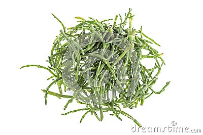 Samphire a coastal herb also known as sea beans sald of sallocornia Stock Photo