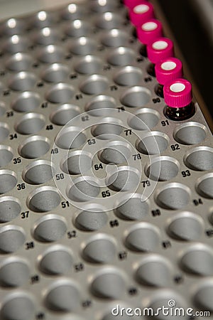 Sample Vials in Laboratory Stock Photo