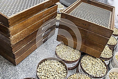 samples of coffee beans from different regions of Brazil Editorial Stock Photo