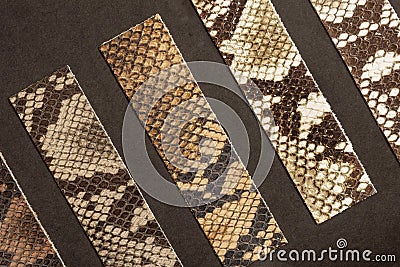 Samples of fashion genuine leather of different shades embossed under skin exotic reptiles, fashion accessories industry concept Stock Photo