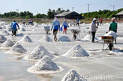 Samut Songkhram, Thailand: Salt Harvest Editorial Stock Photo