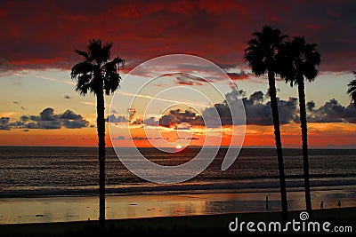 San Clemente Sunset with Palm Trees Stock Photo