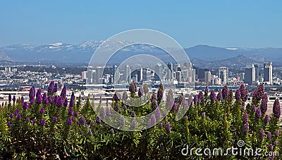 San Diego, California Stock Photo