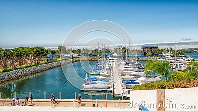 San Diego Marina Harbor. Luxury Yachts in Embarcadero Park Editorial Stock Photo