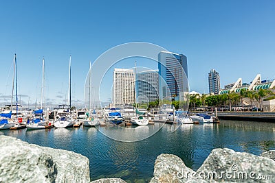 San Diego Marina Harbor. Luxury Yachts in Embarcadero Marina Park Editorial Stock Photo