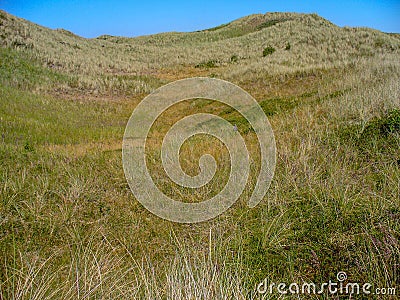 San dunes of Texel Stock Photo