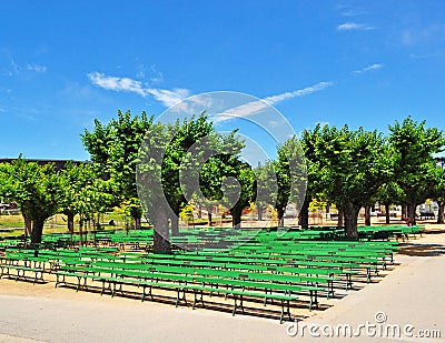 San Francisco, Music Concourse, Golden Gate Park, trees, bench, California, United States of America, Usa Editorial Stock Photo
