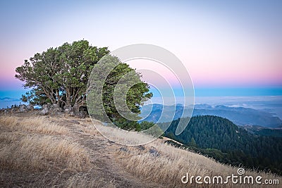 San Francisco from Tamalpais mountain Stock Photo