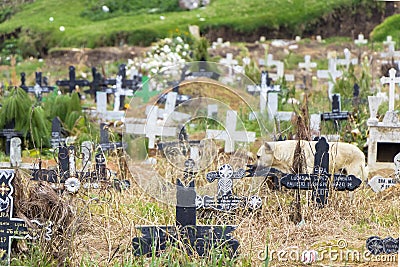 San Juan Chamula Cemetery in Chiapas Editorial Stock Photo