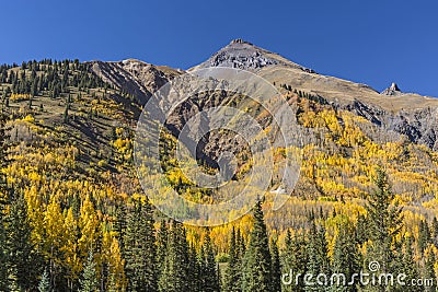 San Juan Mountains Golden Aspens Stock Photo