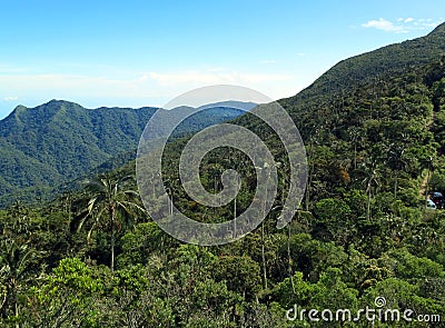 San Lorenzo ridge; El Dorado Bird reserve, Sierra Nevada, Santa Stock Photo