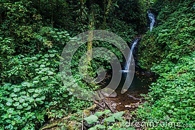 San Luis waterfall in a cloud forest of Reserva Biologica Bosque Nuboso Monteverde, Costa Ri Stock Photo