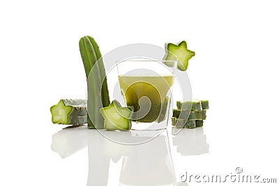 San Pedro cactus. Stock Photo