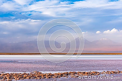 Beautiful landscape with snowy volcanic peaks and the shore of Tebinquinche lagoon in Atacama desert Stock Photo