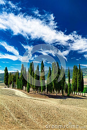 San Quirico d'Orcia Val d'Orcia Tuscany Italy. The typical cypresses trees Stock Photo