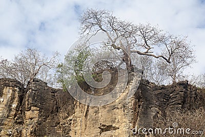 Sancho Beach Fernando de Noronha Island Stock Photo