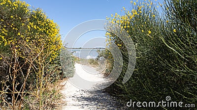 Sand access path fence beach entrance to the atlantic sea in La Rochelle ocean france Stock Photo