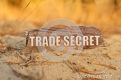 On the sand against a background of yellow grass, a signboard with the inscription -TRADE SECRET Stock Photo