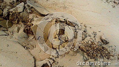 Sand Background Texture - Closeup of brown sand Stock Photo