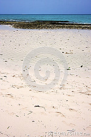 sand bank plant africa coastline froth Stock Photo