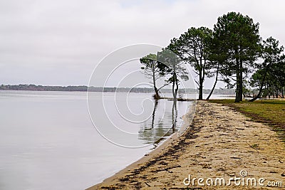 Sand beach lake in sanguinet village in Landes France Stock Photo