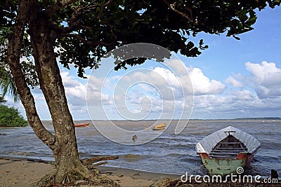 Sand beach and river landscape, Surinam Editorial Stock Photo