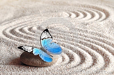 Sand, blue butterfly and spa stone in zen garden. Spa concept. Stock Photo