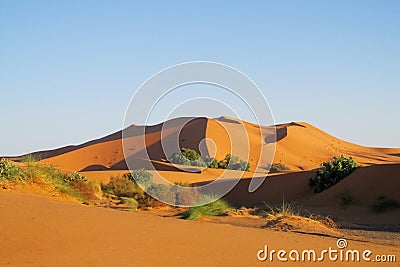 Sand desert dune in Sahara at sunset Stock Photo